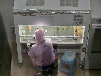機械化助力食用菌產(chǎn)業(yè)化生產(chǎn) 為鄉(xiāng)村振興撐開“致富傘”