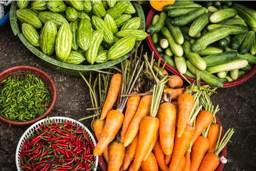 2020關鍵年 探索他國生態循環農業模式，深化食用農產品初加工發展