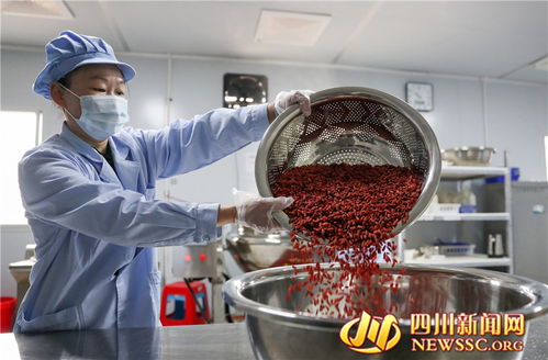 廣安鄉村微工廠 富硒食品生產忙，點燃鄉村振興新引擎